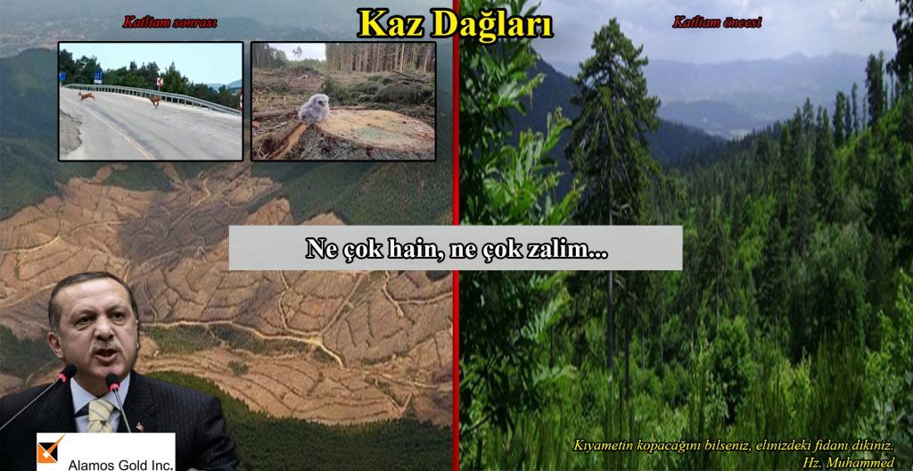 Ne çok hain, ne çok zalim…