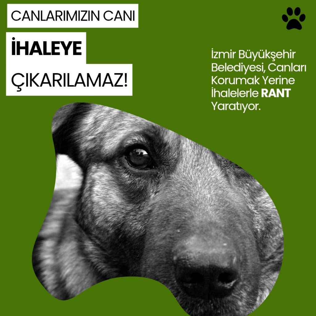 Canlarımızın Canı İhaleye Çıkarılamaz!*
